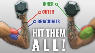 The Best ScienceBased DUMBBELL Biceps Exercises For Size And Shape [upl. by Aliek]