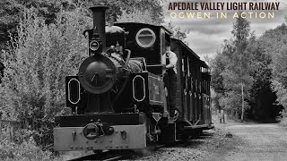 APEDALE VALLEY LIGHT RAILWAY AVONSIDE OGWEN IN ACTION 20TH JULY 2024 INCLUDES RIDE [upl. by Dougal]