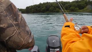 Fishing with Katmai Guide Service [upl. by Ehtnax]