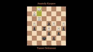 Anatoly Karpov vs Yasser Seirawan  Brussels Belgium 1992 [upl. by Holland]