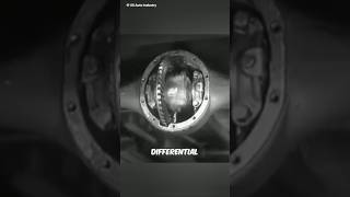 Differential System ⚙️ [upl. by Gennifer]