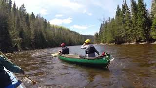 Canoe trip on the Causapscal amp Matapédia 2024 [upl. by Clair]