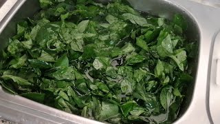 How to cook Kunde Cowpeas Leaves  Easy stepbystep guide BeulahsKitchenKE [upl. by Roldan997]