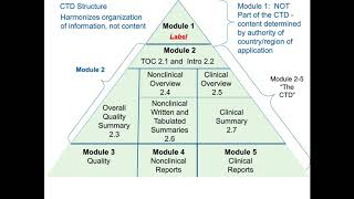 Understanding New Drug Applications NDAs [upl. by Ayamahs641]