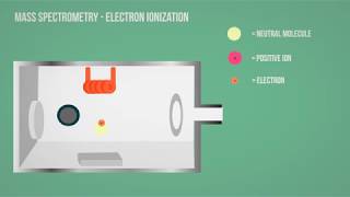 MS  Mass Spectrometry  Electron Ionization Animation [upl. by Gemini69]