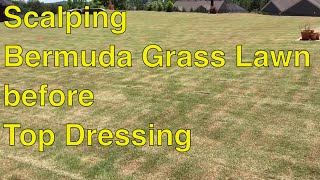 SCALPING BERMUDA GRASS Lawn before TOP DRESSING [upl. by Enialem]