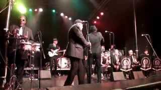 Melbourne Ska Orchestra quotKatoombaquot  The Observatory 62815 [upl. by Ravert]