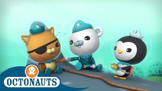 Octonauts  Saving Sharks  Cartoons for Kids  Underwater Sea Education [upl. by Barnaby]