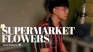 Ed Sheeran  Supermarket flowers cover [upl. by Pentha]