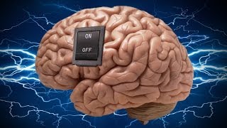 The ONOFF Switch Inside Your Brain DISCOVERED [upl. by Uah]