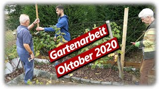 Gartenarbeit Oktober 2020  Himbeeren Tomaten Heckenschnitt [upl. by Neliac157]