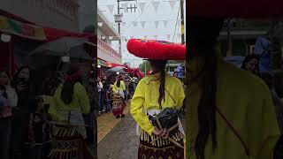 La Danza de Pánuco durante el paseo🤩mexico Pánuco Zacatecas SanJuanBautista Morismas 24deJunio [upl. by Bria]