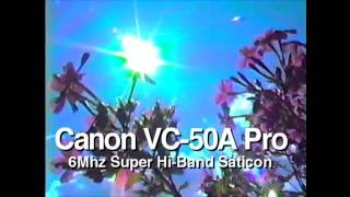 Canon VC50A Pro Sample Video Pt 1 [upl. by Eytak]