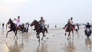 Horse Rewal Chal Racing at Mandvi Beach 2024 [upl. by Hakaber290]