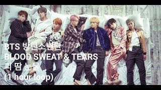 BTS방탄소년단BLOOD SWEAT amp TEARS피 땀 눈물1 hour loop [upl. by Ynwat]