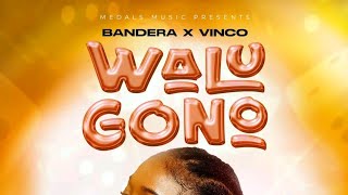 Bandera Wachiyao Feat VincoWalugono 2024 BY MMTV® [upl. by Hawken]