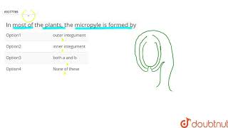 In most of the plants the micropyle is formed by [upl. by Anaujat610]