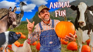 Farm Animal Fun with Pumpkins Fun Educational Video for Kids and Families [upl. by Euqinue]