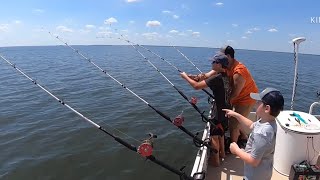 SANTEE COOPER CATFISHING GUIDE BLACKS CAMP TRIP [upl. by Cogswell]