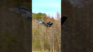 F14A Tomcat Top Gun Routine topgun aviation rc [upl. by Atlee]