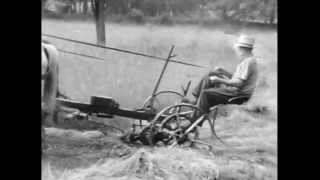 1940s Old Nostalgic Farming Scenes America [upl. by Sirapal]