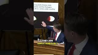 Sen Hawley Exposes McKinseys BillionDollar Contracts With Both US Defense and Chinese Government [upl. by Ephram584]