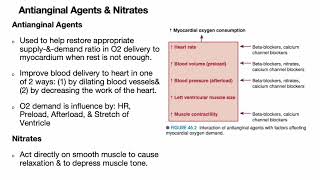 Antianginal Agents [upl. by Llenna87]