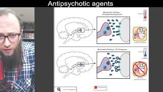 05 03  Mesolimbic dopamine pathway and D2 antagonists  مسار الدوبامين الحوفي ومناهضات D2 [upl. by Champ]