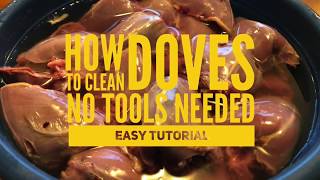 How to Clean Doves Quick Easy Tutorial [upl. by Yesdnyl]