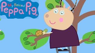 My friend Peppa Pig Tiddles The Tortoise 4K HD [upl. by Enyamart175]