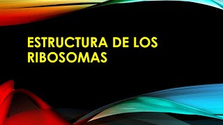 ESTRUCTURA DE LOS RIBOSOMAS [upl. by Erej494]