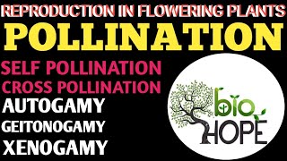 POLLINATION FOR CLASS 10TH AND 12TH BIOLOGY AND NEET STUDENTS BY SHAREEF SIR [upl. by Aicert]