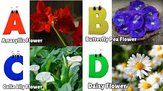 Flowers ABC Song for Kids  Phonics for Kids  Alphabet Letters  Nursery Rhymes [upl. by Rosco]