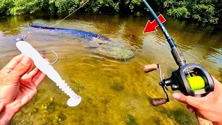 Un POISSON GÉANT inattendu dans cette petite rivière  Pêche au leurre [upl. by Tonya]