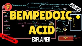 BEMPEDOIC ACID Mechanism of action Pharmacology of Lipid lowering drugs [upl. by Trabue793]