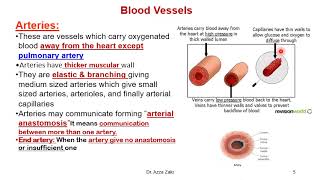 Lecture 5 circulatory system part 1 DR AZZA ZAKI 2024 [upl. by Sension]