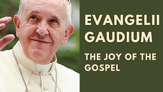 Evangelii Gaudium The Joy of The Gospel by Pope Francis art132 [upl. by Teyugn]