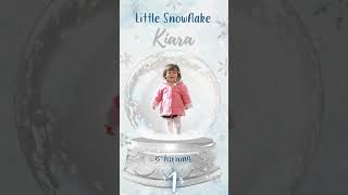 Snowflake Winter Onederland Theme Birthday Digital Video Invitation [upl. by Lovash]