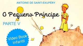 Vídeo Book Infantil O Pequeno Príncipe Parte V FINAL Capítulo 21 ao 27 Antoine de Saint Exupéry [upl. by Oakman]