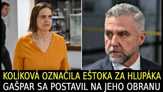 Kolíková označila Eštoka za hlupáka Gašpar sa postavil na jeho obranu [upl. by Akeme]