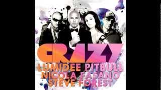 Lumidee feat Pitbull vs Nicola Fasano amp Steve Forest  Crazy Purebeat Remix Official HQ [upl. by Ellinger759]