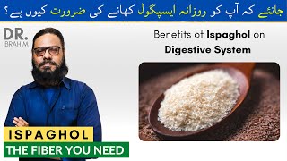 Ispaghol Ki FaideFayde  Benefits Of Psyllium Seeds Powder in Urdu Hindi  Dr Ibrahim [upl. by Fowler]