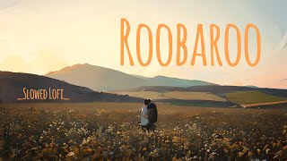 Roobaro  Slowed  LOFI   A R Rahman  Rang De Basanti  LOFI PLAY [upl. by Atteuqal196]