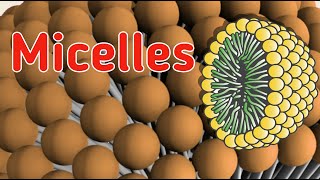 Micelles  Formation of Micelles  Role of micelles [upl. by Anec25]