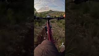 Orbea Rallon test 🤟 orbearallon mtb [upl. by Llyrehc438]