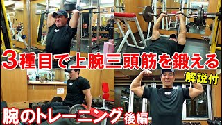 【筋トレ】3種類の刺激で上腕三頭筋を追い込む！POF法で鍛える腕のトレーニング後編【解説付】 [upl. by Anamor137]