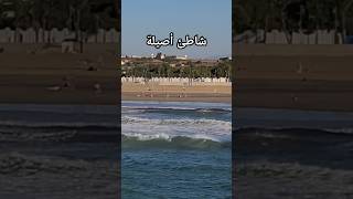 شاطئ مدينة أصيلة من زاوية أخرى 🏖️ Asilah Beach Morocco [upl. by Dutch]