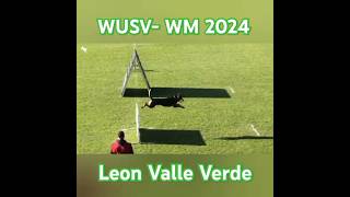 WUSV WM 2024  Leon Valle Verde [upl. by Ettedanreb]