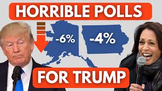 Trump dropping in Iowa and Alaska polls Can Kamala Harris win these states [upl. by Ratna]