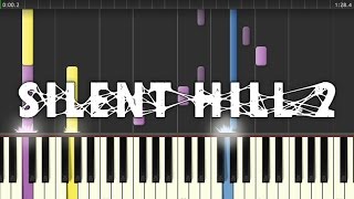 Silent Hill 2 Fermata in Mistic Air synthesia [upl. by Llertnov]